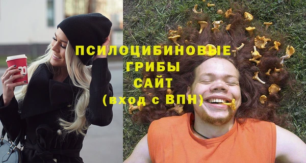 apvp Арсеньев