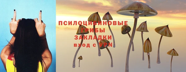 apvp Арсеньев