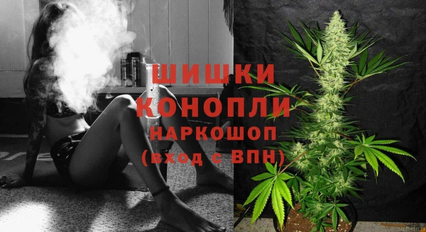 apvp Арсеньев