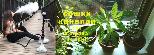 apvp Аркадак