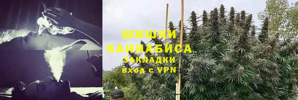 apvp Арсеньев